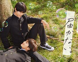 99这里只有精品视频_99中文在线_99中文字幕_99资源在线_91在线91拍拍在线91